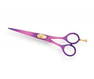 Professional Hair Cutting Scissors